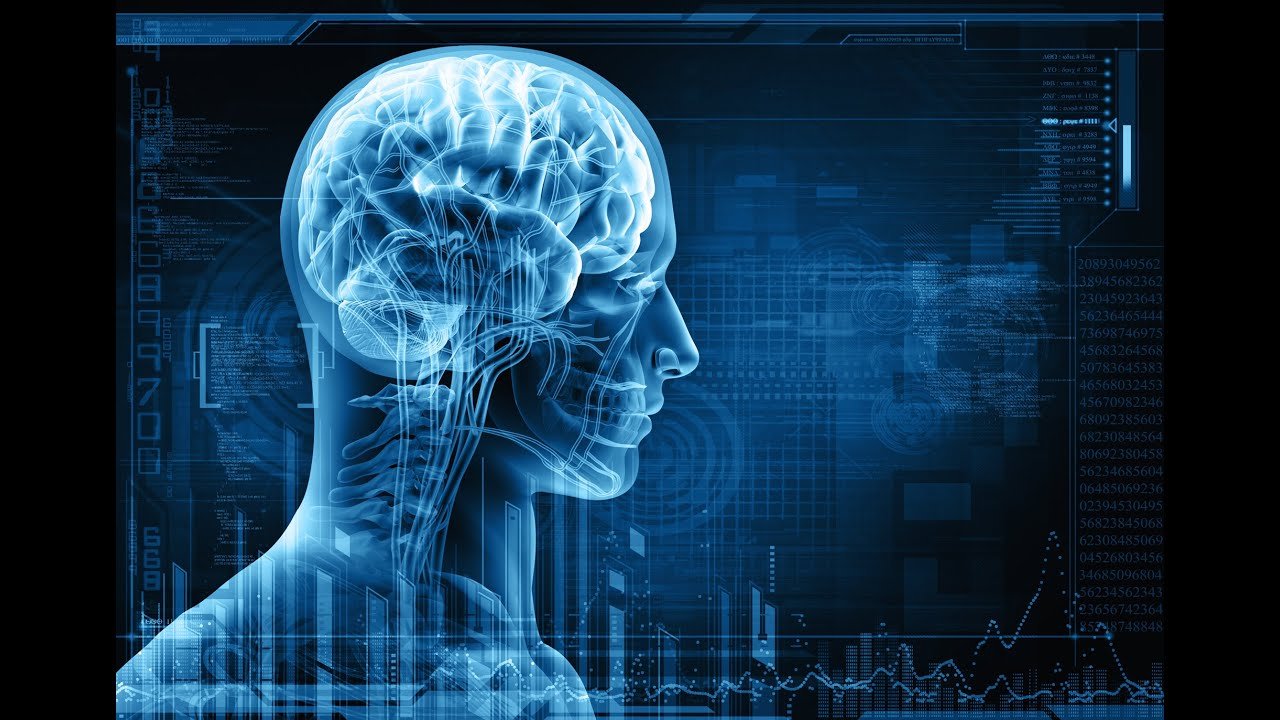 Human Conditioning…