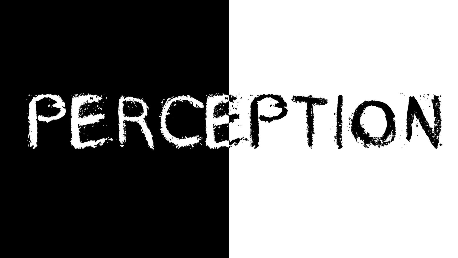 Perception Becomes Behavior…