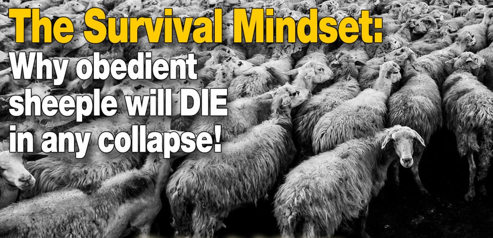 We really need more women and men that have the survival mindset…