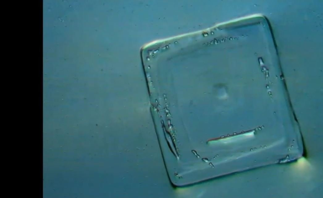 Evidence of Self Assembling Nano Circuitry in the Pfizer Vaccine