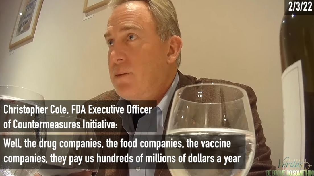 FDA Executive Officer Exposes Close Ties Between Agency and Pharmaceutical Companies