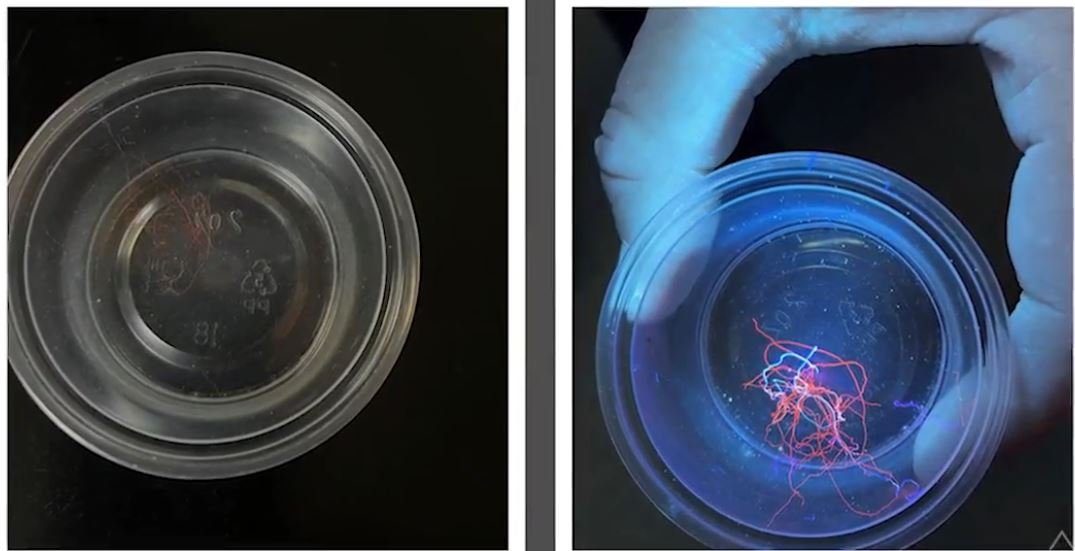 Evidence Shows Biological ID System Has Already Been Deployed