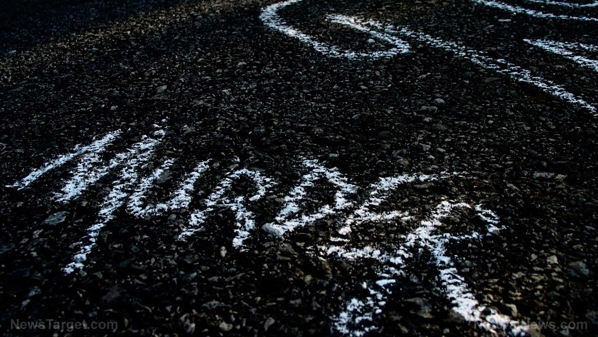 Mayor of Athens, GA where Laken Riley was murdered by an illegal, gets curb-stomped by locals: “Liar! You have blood on your hands”