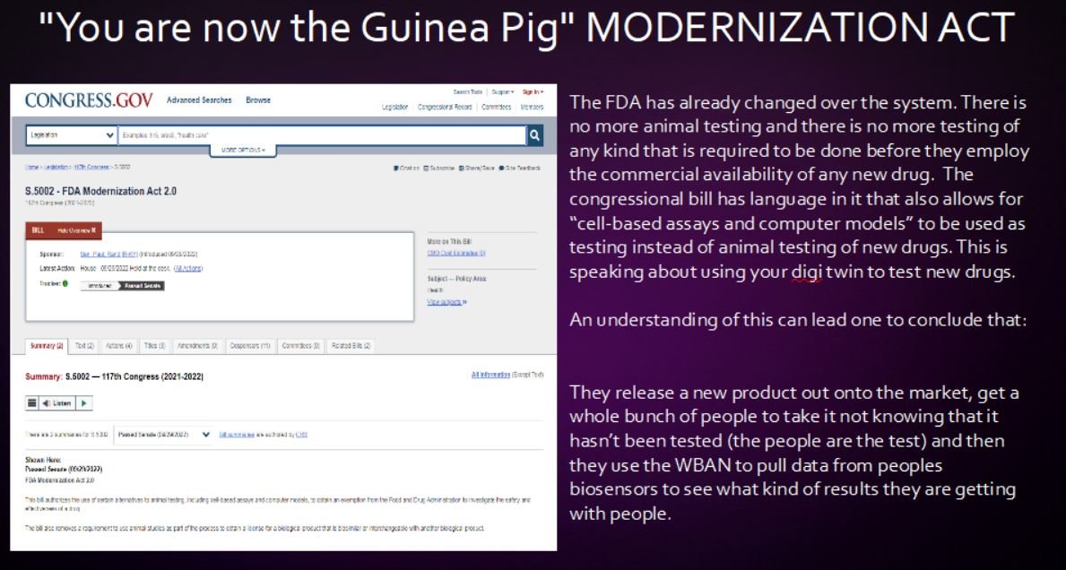 THE BODY AREA NETWORK NIGHTMARE