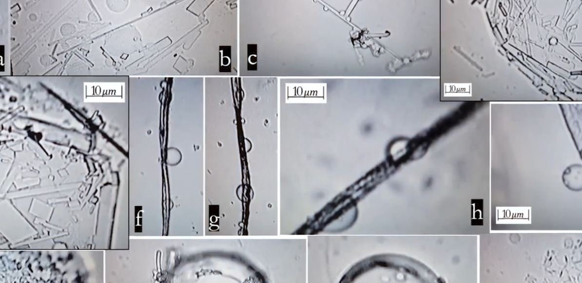 Recent Study Shows Self-Assembly Nanobots in the COVID-19 Injectables