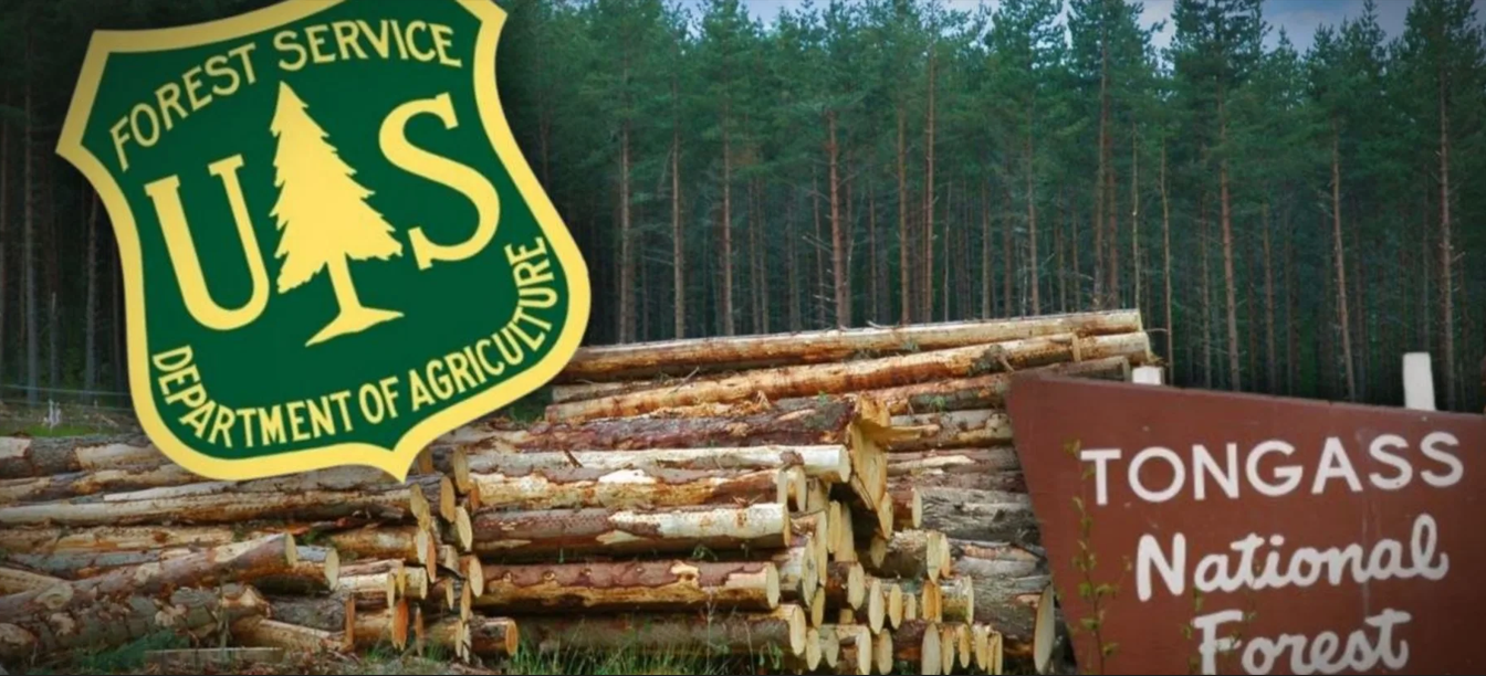 Congress Is About To Legalize Liquidation Of National Forests.
