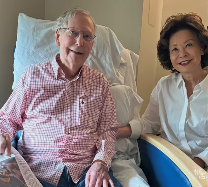 The Biggest Red Flags in Mitch McConnell’s New Photo
