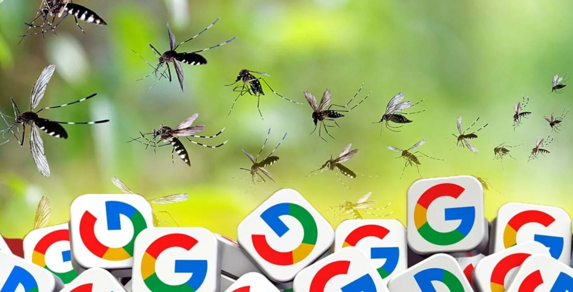 Google’s Plan to Release 32 Million Lab-Raised Mosquitoes: What Are the Risks?